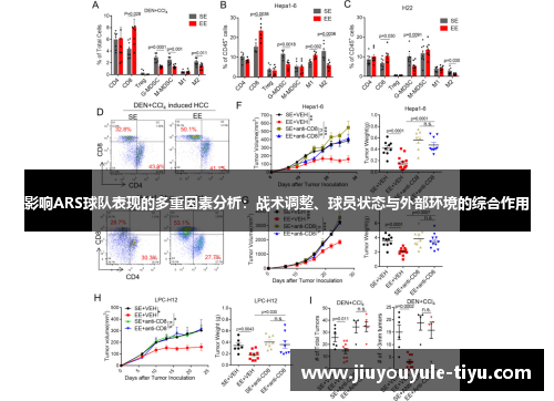 影响ARS球队表现的多重因素分析：战术调整、球员状态与外部环境的综合作用