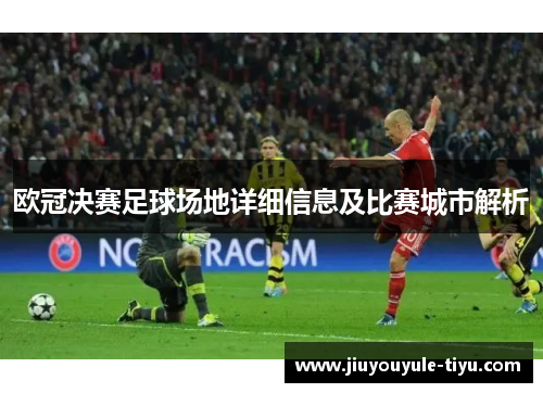 欧冠决赛足球场地详细信息及比赛城市解析